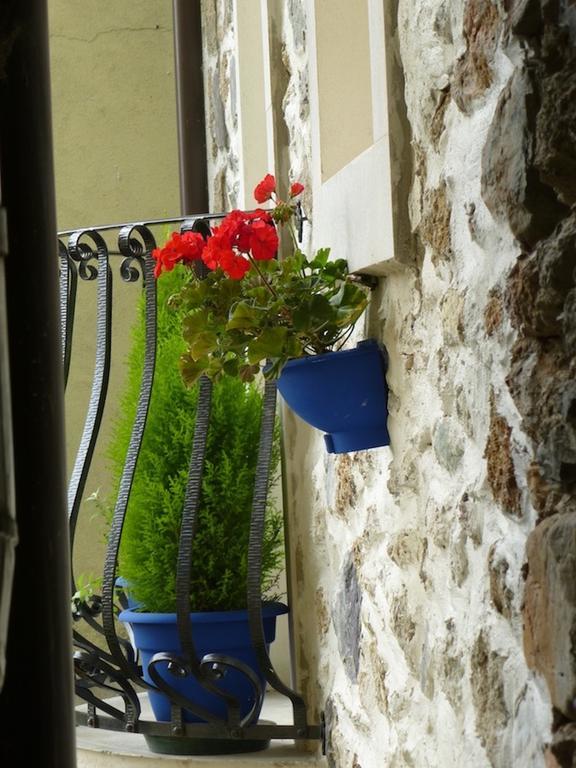 In Plait Bed and Breakfast Cercivento Εξωτερικό φωτογραφία