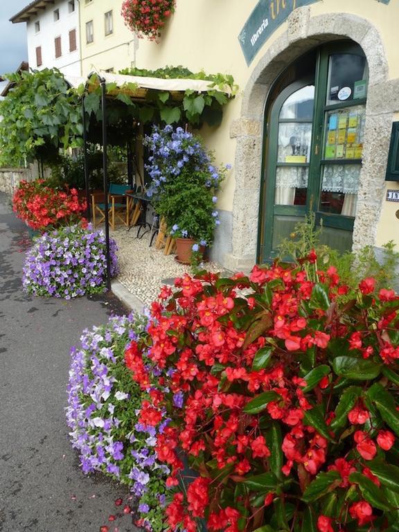 In Plait Bed and Breakfast Cercivento Εξωτερικό φωτογραφία