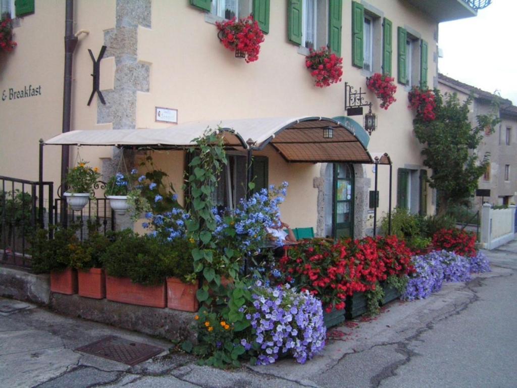 In Plait Bed and Breakfast Cercivento Εξωτερικό φωτογραφία