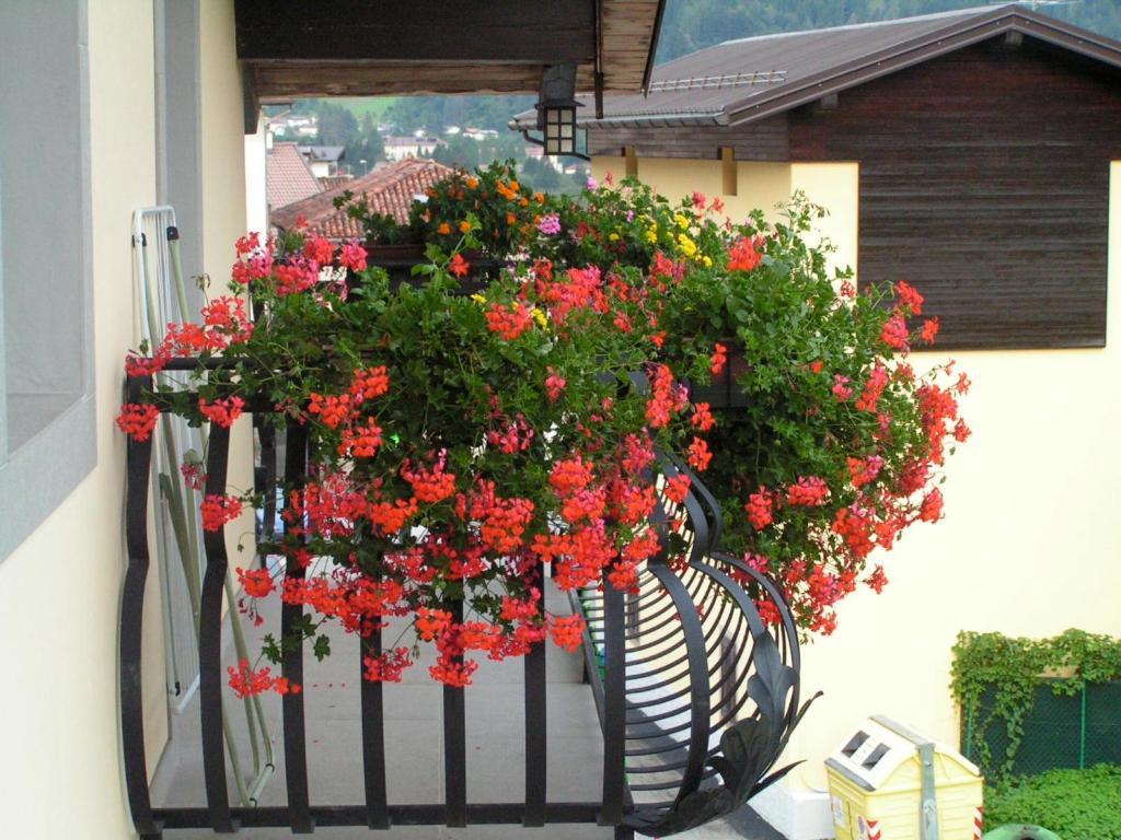 In Plait Bed and Breakfast Cercivento Εξωτερικό φωτογραφία